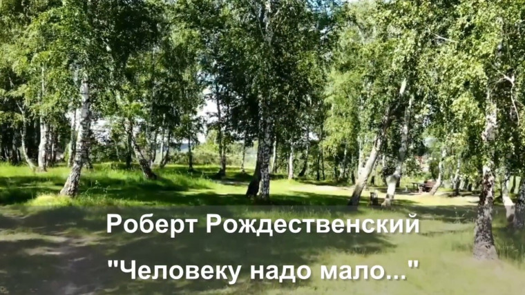 Профильная смена «Видеостудия» — творческое пространство для юных режиссёров и операторов..